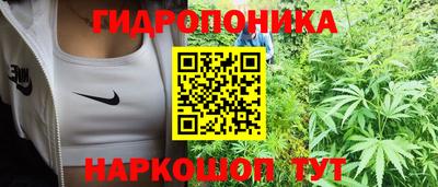 индика Усть-Джегута