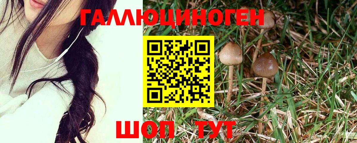 Добрянка  где можно купить наркотик  Вход с VPN  Галлюциногенные грибы MAGIC MUSHROOMS 