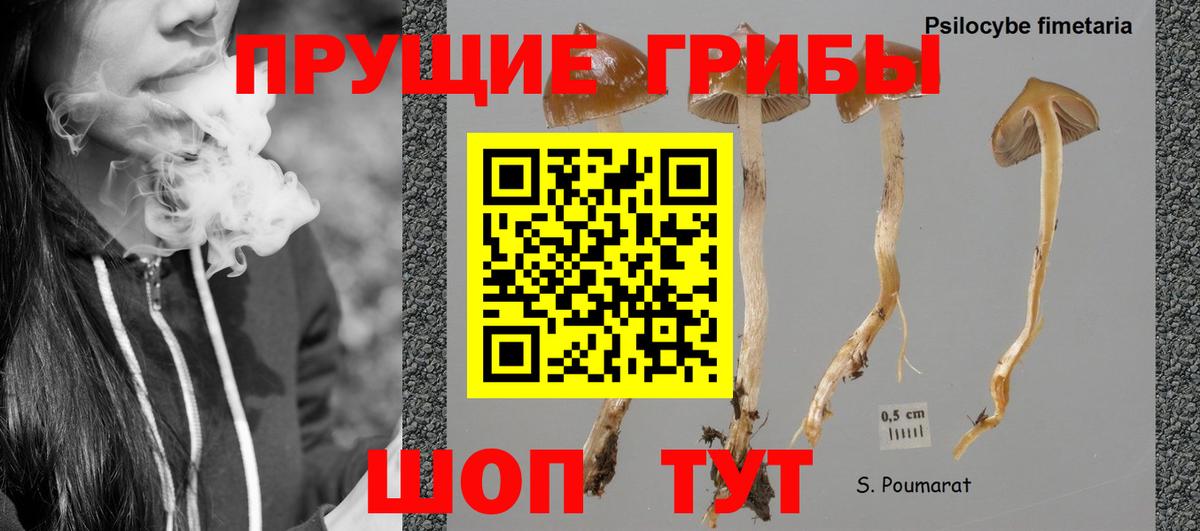 Псилоцибиновые грибы Magic Shrooms Добрянка